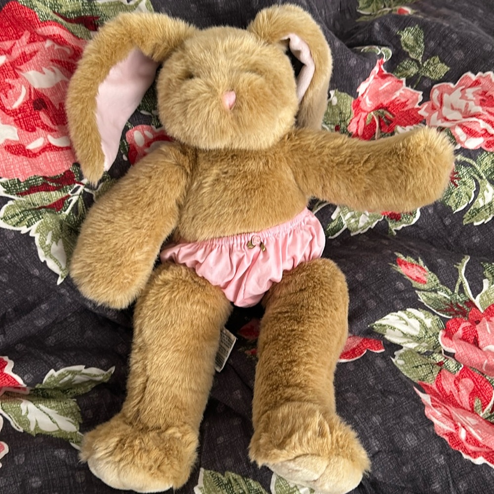 Build-a-bear bunny
Excellent condition
No stains, wear, or holes